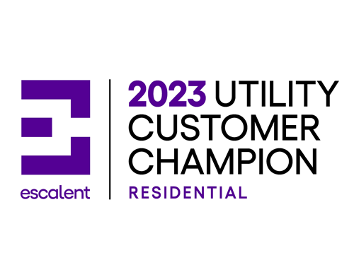 Utility Customer Champion – 4 Years in a Row